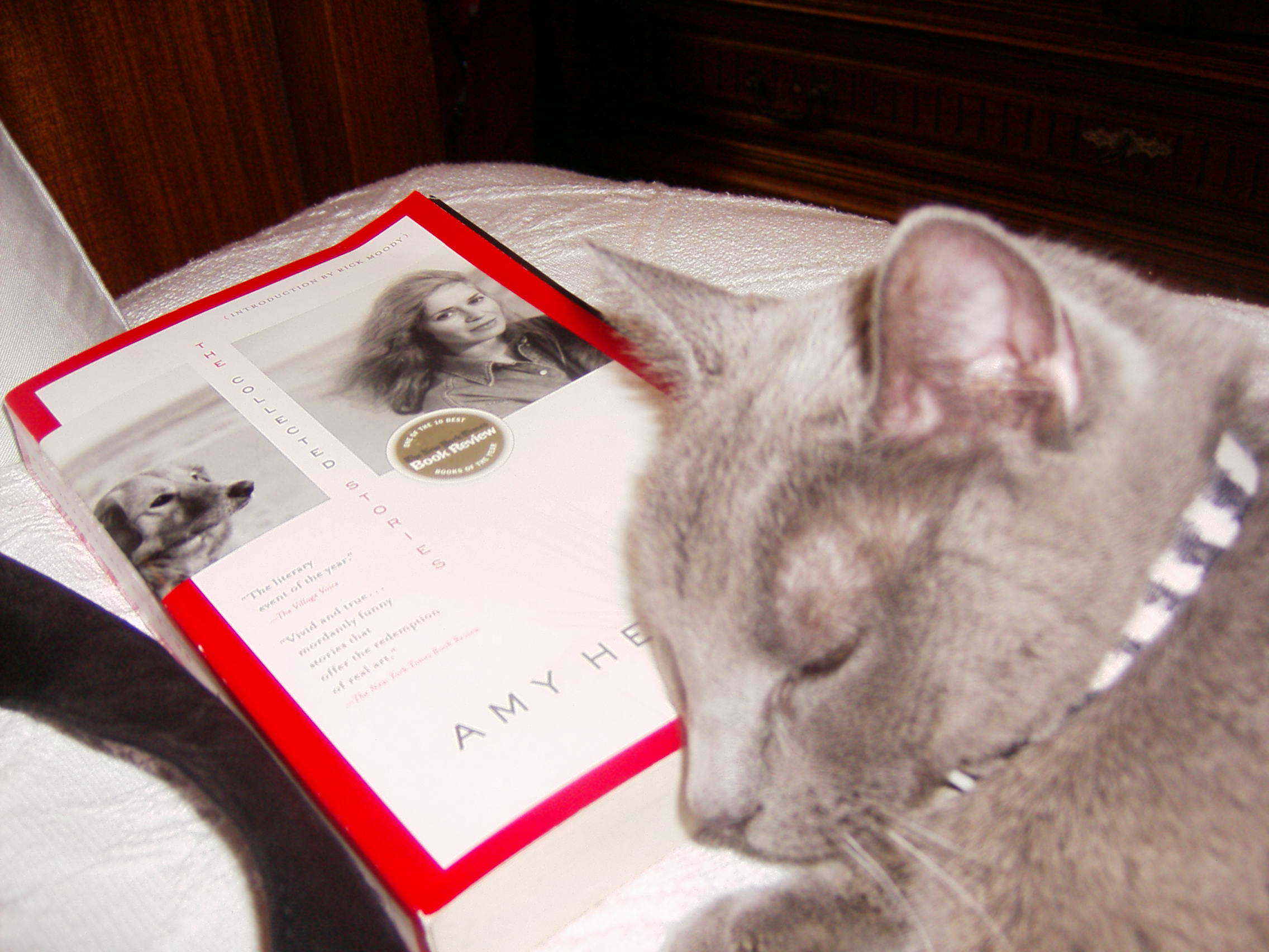 Wordless Wednesday 8 Fell Asleep Reading Rasmenian Detritus